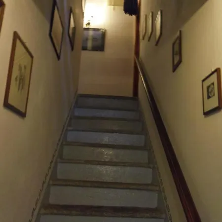 Il Faggio Malesco